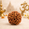 Original 5 Mukhi Rudraksha – Natural, Premium Quality & Certified