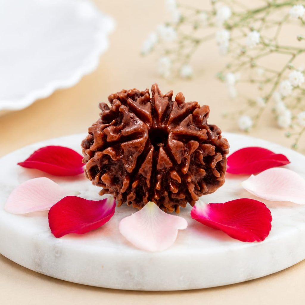 Original 9 Mukhi Rudraksha – Natural, Premium Quality & Certified