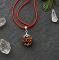 Original 4 Mukhi Rudraksha Pendant – Natural Premium Quality Rudraksha Pendant