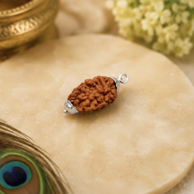 Original 2 Mukhi Rudraksha Pendant – Natural Premium Quality Rudraksha Pendant