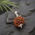 Original 5 Mukhi Rudraksha Pendant – Natural Premium Quality Rudraksha Pendant