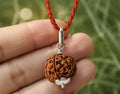 Original 6 Mukhi Rudraksha Pendant – Natural Premium Quality Rudraksha Pendant