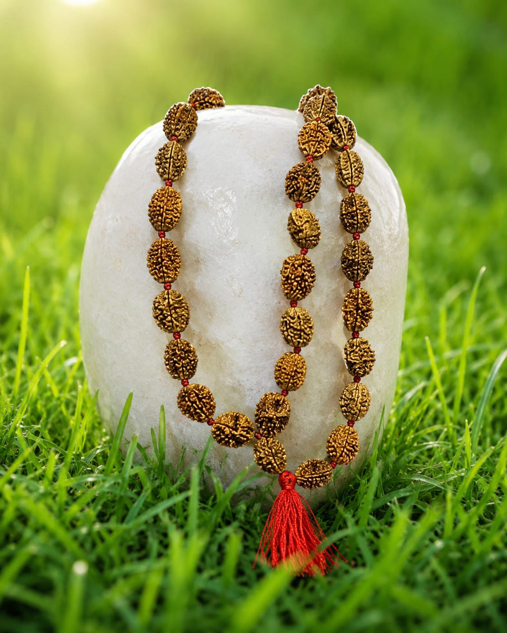 Original 2 Mukhi Rudraksha Mala – Natural Premium Quality Rudraksha Beads