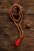 Original 9 Mukhi Rudraksha Mala – Natural Premium Quality Rudraksha Beads