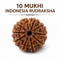 Original Indonesia 10 Mukhi Rudraksha | Natural Lab Tested Bead ओरिजिनल इंडोनेशिया 10 मुखी रुद्राक्ष | प्राकृतिक एवं लैब टेस्टेड
