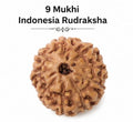 Original Indonesia 9 Mukhi Rudraksha | Natural Lab Tested Bead ओरिजिनल इंडोनेशिया 9 मुखी रुद्राक्ष | प्राकृतिक एवं लैब टेस्टेड