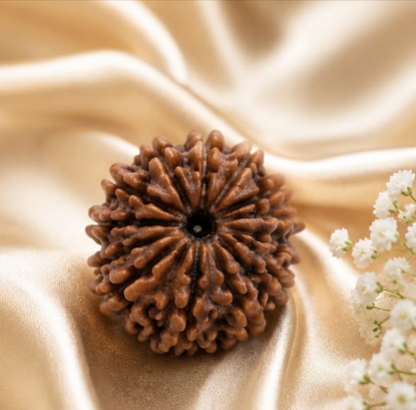Original Indonesia 12 Mukhi Rudraksha | Natural Lab Tested Bead ओरिजिनल इंडोनेशिया 12 मुखी रुद्राक्ष | प्राकृतिक एवं लैब टेस्टेड