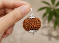 12 Mukhi Indonesia Rudraksha Pendant | Original Lord Surya Rudraksha 12 मुखी इंडोनेशिया रुद्राक्ष पेंडेंट | ओरिजिनल भगवान सूर्य रुद्राक्ष