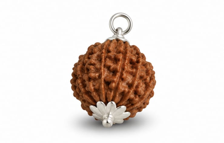 9 Mukhi Indonesia Rudraksha Pendant | Original Navdurga Rudraksha 9 मुखी इंडोनेशिया रुद्राक्ष पेंडेंट | ओरिजिनल नवदुर्गा रुद्राक्ष