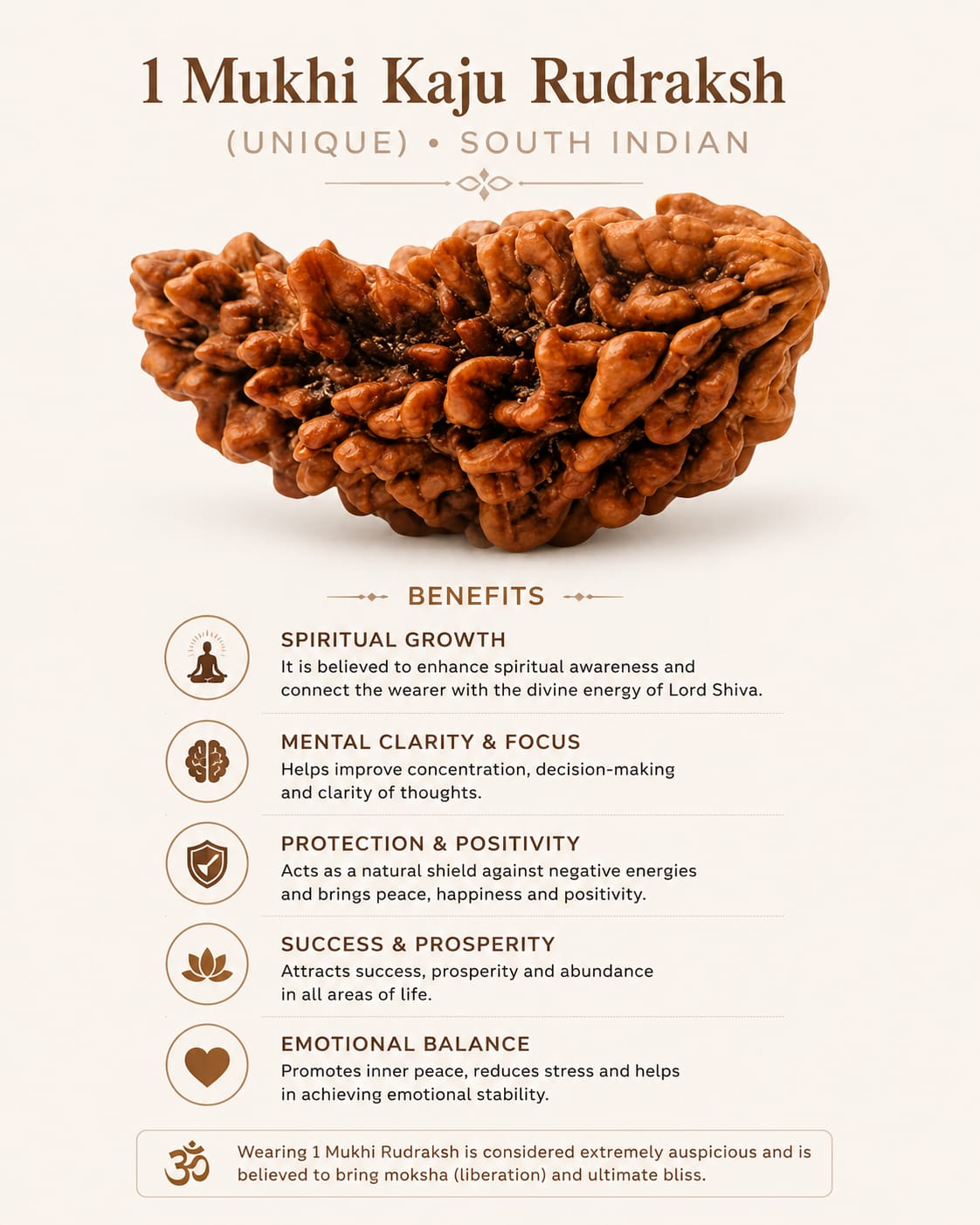 Buy Original 1 Mukhi Rudraksha Online | Natural Premium Quality