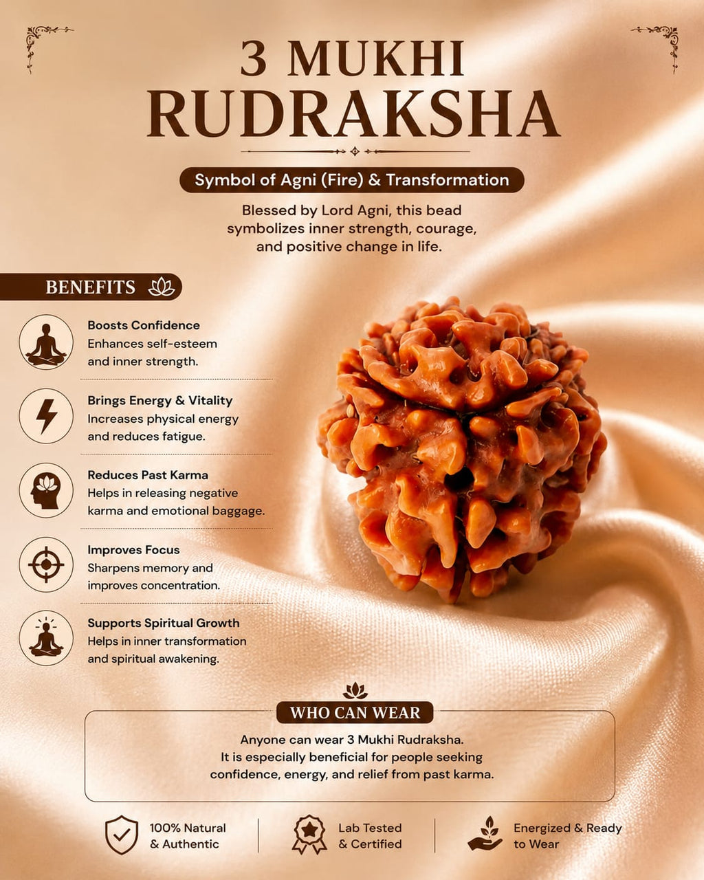 Original 3 Mukhi Rudraksha – Natural, Premium Quality & Certified