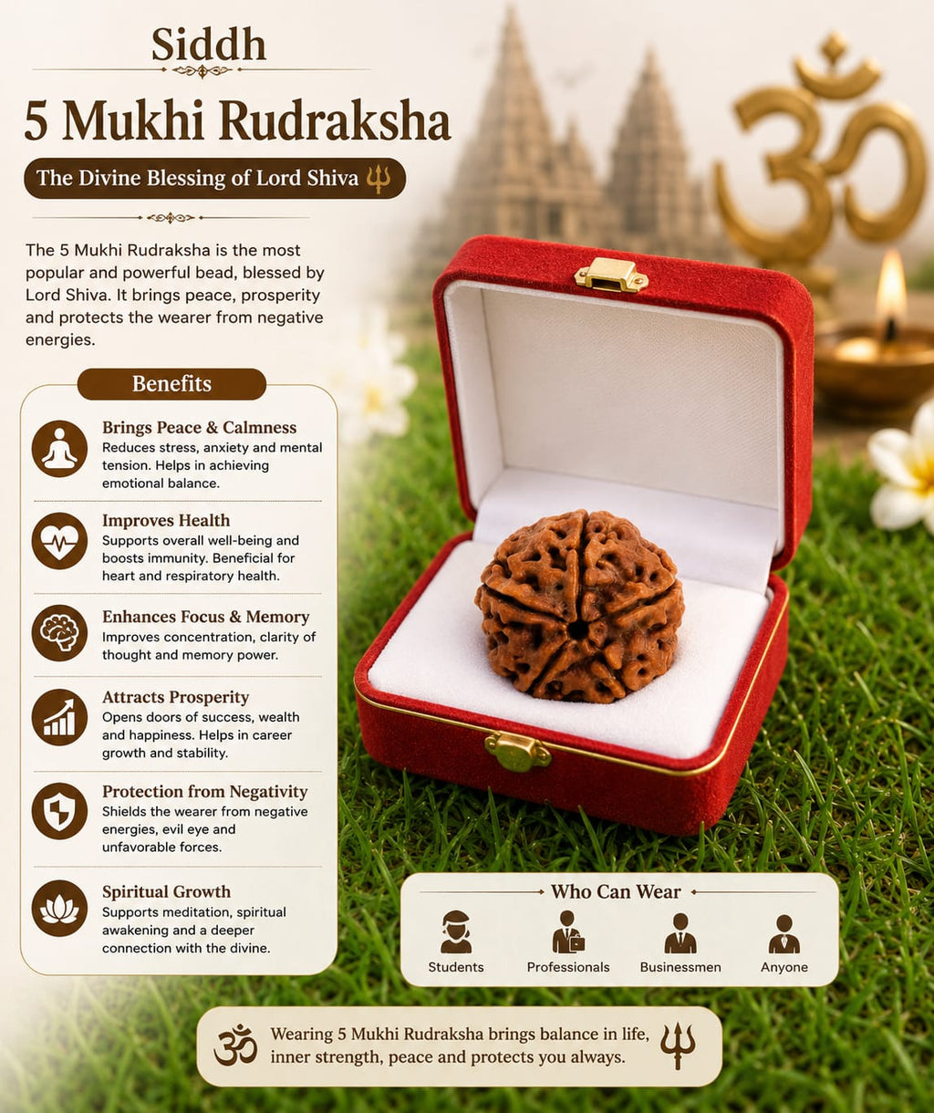 Original 5 Mukhi Rudraksha – Natural, Premium Quality & Certified
