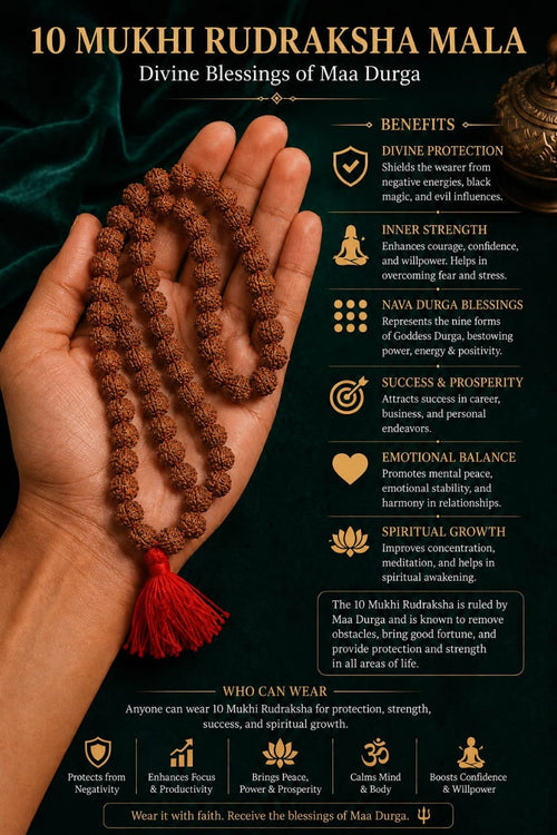 Original 10 Mukhi Rudraksha Mala – Natural Premium Quality Rudraksha Beads