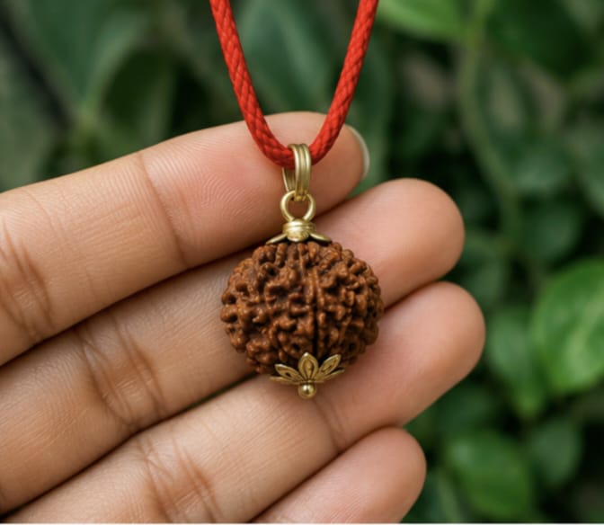 Original 10 Mukhi Rudraksha Pendant – Natural Premium Quality Rudraksha Pendant