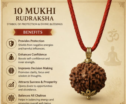 Original 10 Mukhi Rudraksha Pendant – Natural Premium Quality Rudraksha Pendant