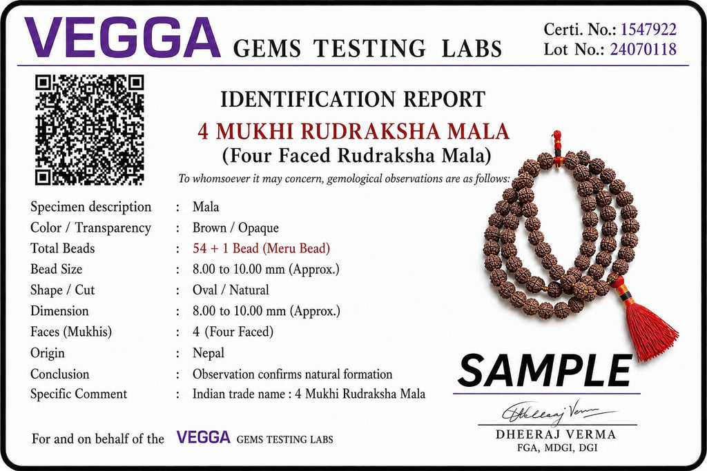 Original 4 Mukhi Rudraksha Mala – Natural Premium Quality Rudraksha Beads