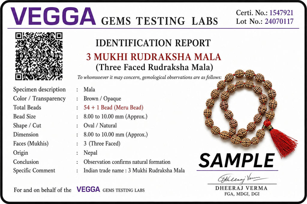 Original 3 Mukhi Rudraksha Mala – Natural Premium Quality Rudraksha Beads