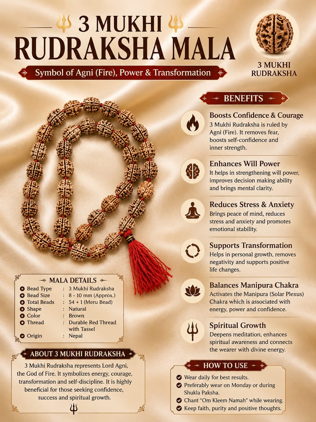 Original 3 Mukhi Rudraksha Mala – Natural Premium Quality Rudraksha Beads