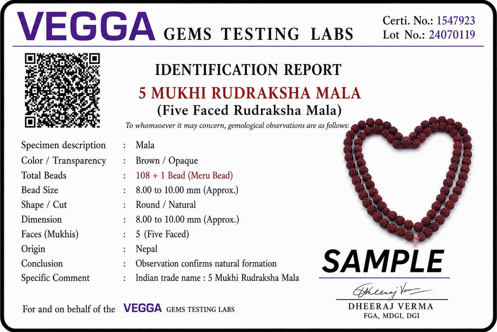 Original 5 Mukhi Rudraksha Mala – Natural Premium Quality Rudraksha Beads