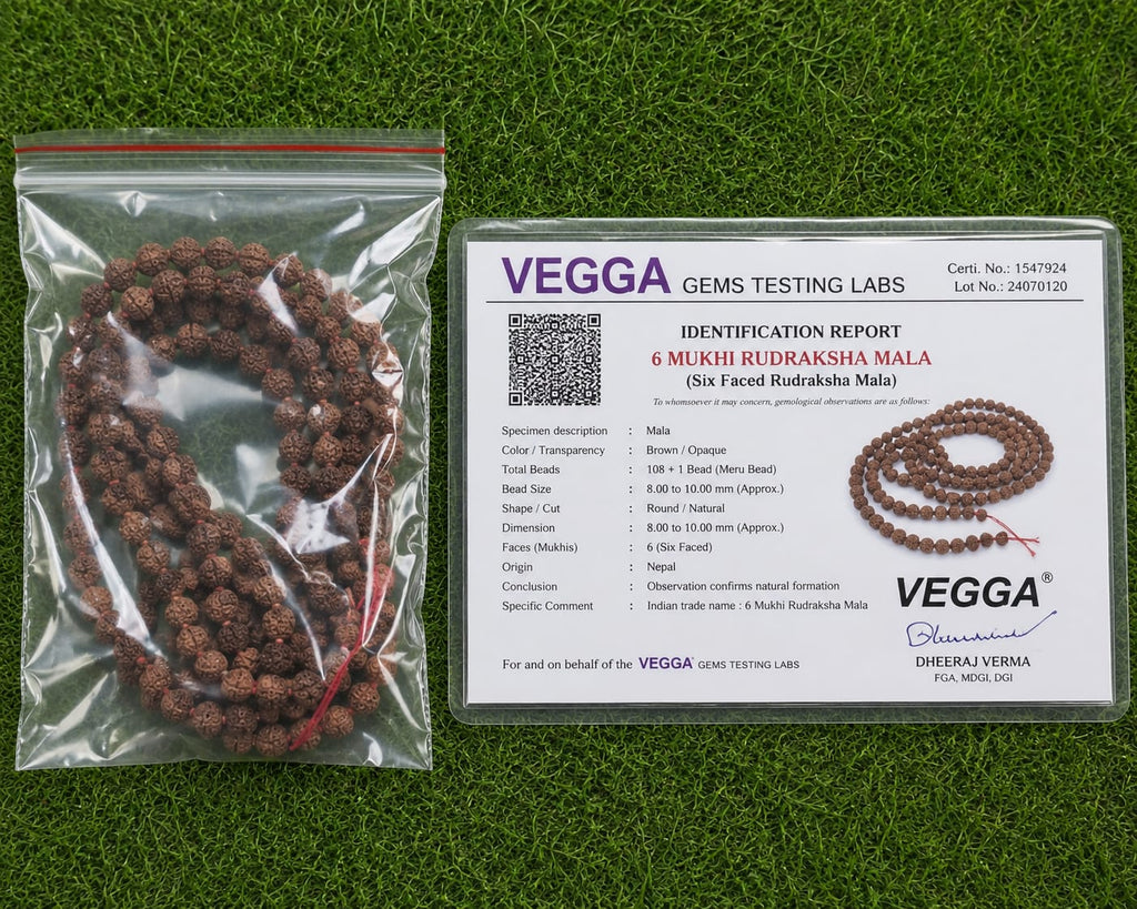 Original 6 Mukhi Rudraksha Mala – Natural Premium Quality Rudraksha Beads