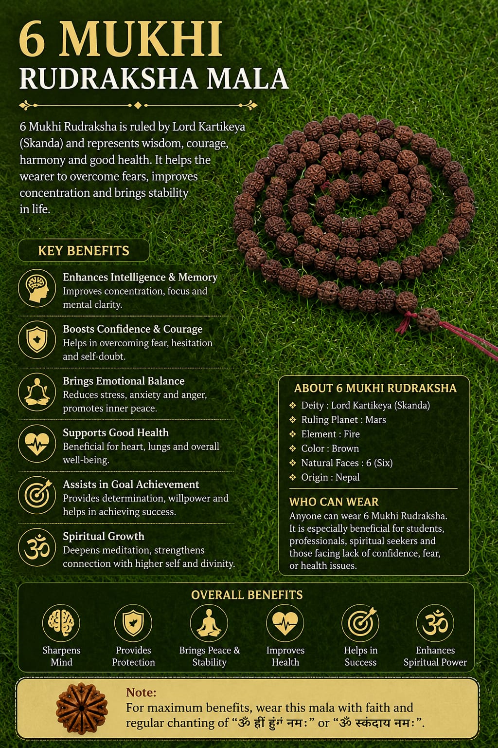 Original 6 Mukhi Rudraksha Mala – Natural Premium Quality Rudraksha Beads