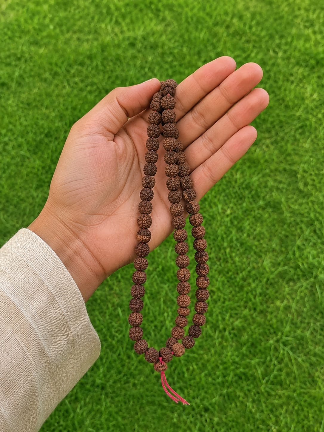 Original 6 Mukhi Rudraksha Mala – Natural Premium Quality Rudraksha Beads