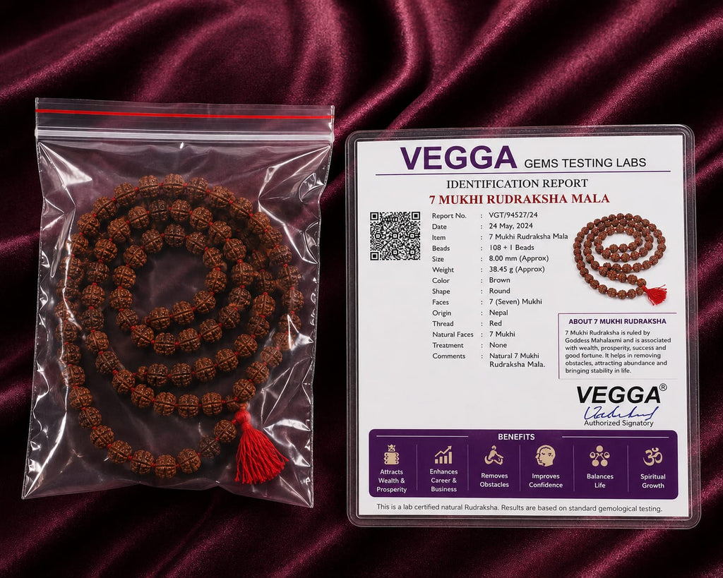 Original 7 Mukhi Rudraksha Mala – Natural Premium Quality Rudraksha Beads