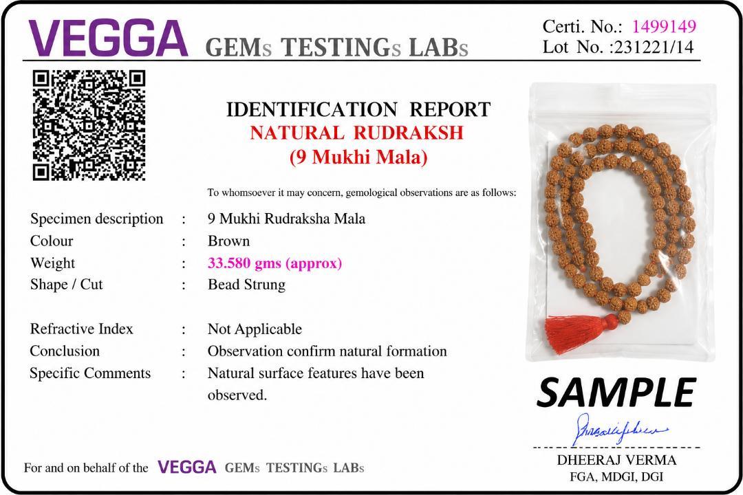 Original 9 Mukhi Rudraksha Mala – Natural Premium Quality Rudraksha Beads