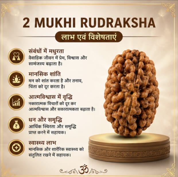 Original 2 Mukhi Rudraksha Certified Natural Two Face Rudraksha Bead for Harmony, Meditation & Spiritual Practice