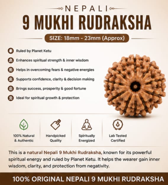 Original Nepali 9 Mukhi Rudraksha (18mm–22mm) | Natural Lab Tested Bead ओरिजिनल नेपाली 9 मुखी रुद्राक्ष (18mm–22mm) | प्राकृतिक एवं लैब टेस्टेड