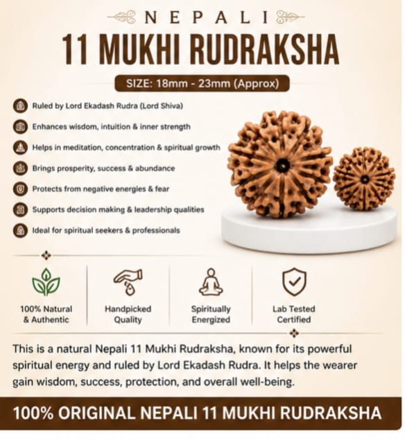 Original Nepali 11 Mukhi Rudraksha (18mm–22mm) | Natural Lab Tested Bead ओरिजिनल नेपाली 11 मुखी रुद्राक्ष (18mm–22mm) | प्राकृतिक एवं लैब टेस्टेड
