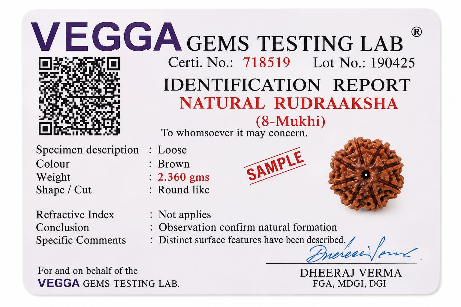 Original Nepali 8 Mukhi Rudraksha (18mm–22mm) | Natural Lab Tested Bead  ओरिजिनल नेपाली 8 मुखी रुद्राक्ष प्राकृतिक, प्रीमियम क्वालिटी और लगभग 18mm–22mm आकार