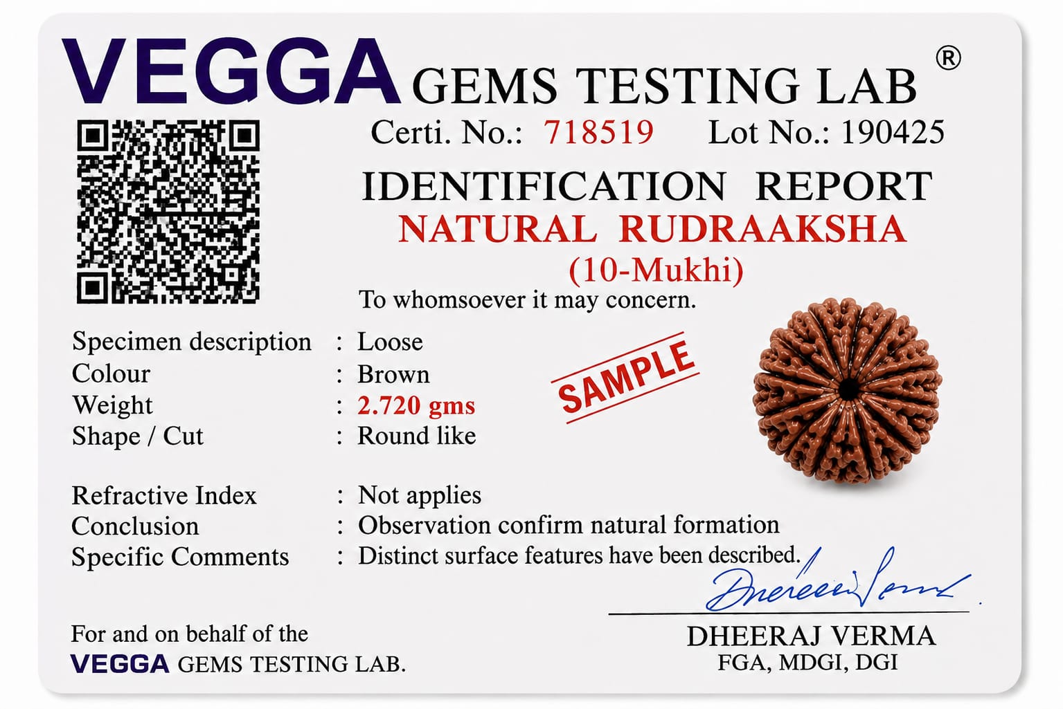Original Indonesia 10 Mukhi Rudraksha | Natural Lab Tested Bead ओरिजिनल इंडोनेशिया 10 मुखी रुद्राक्ष | प्राकृतिक एवं लैब टेस्टेड