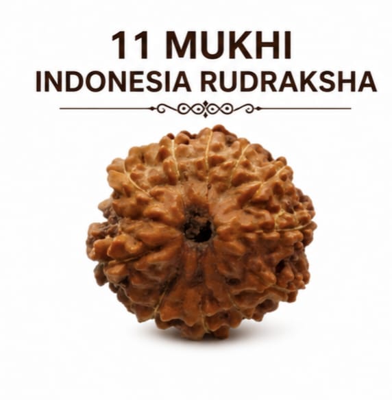 Original Indonesia 11 Mukhi Rudraksha | Natural Lab Tested Bead ओरिजिनल इंडोनेशिया 11 मुखी रुद्राक्ष | प्राकृतिक एवं लैब टेस्टेड