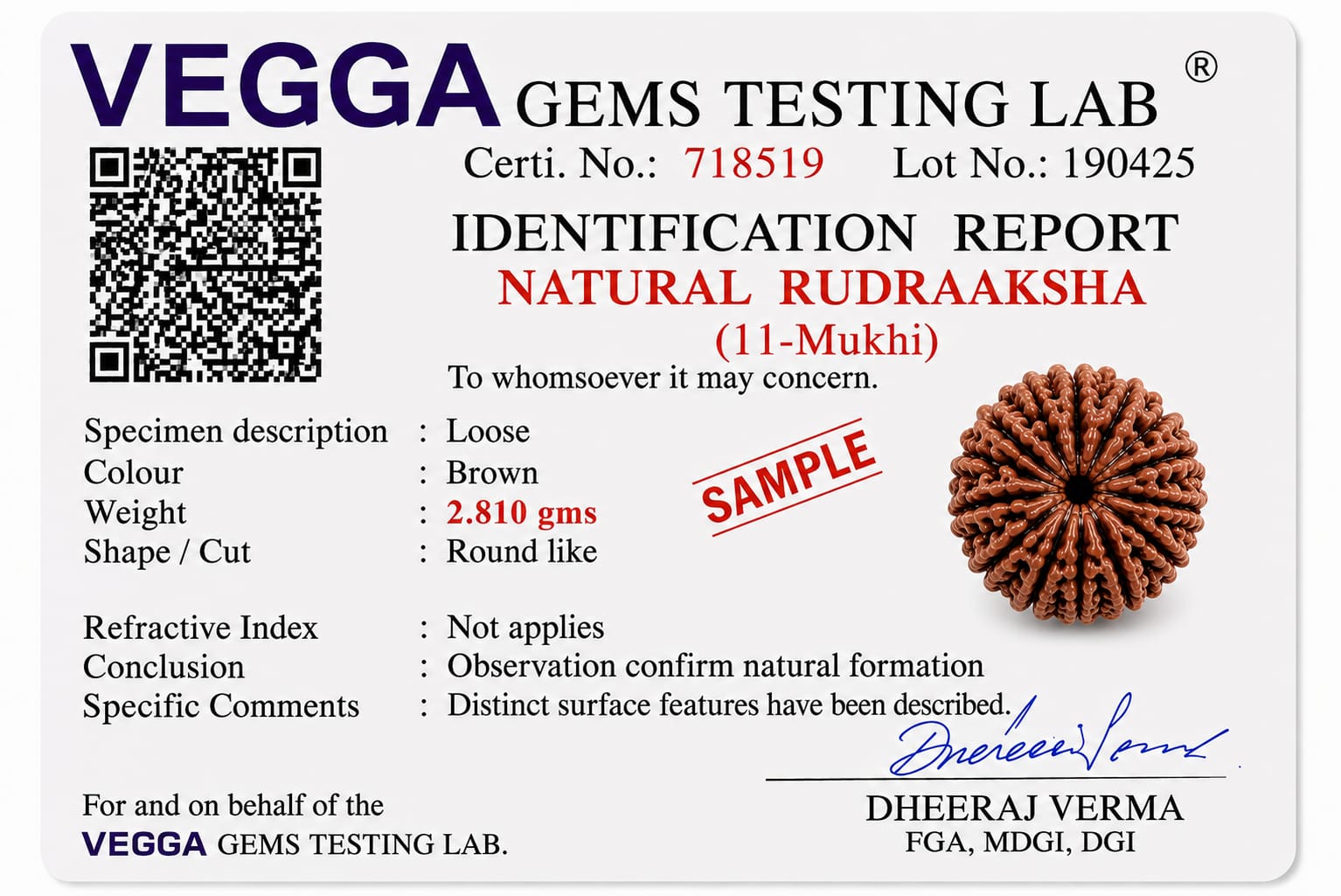 Original Indonesia 11 Mukhi Rudraksha | Natural Lab Tested Bead ओरिजिनल इंडोनेशिया 11 मुखी रुद्राक्ष | प्राकृतिक एवं लैब टेस्टेड