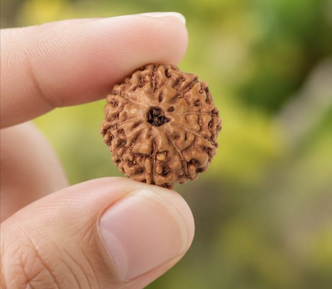 Original Indonesia 9 Mukhi Rudraksha | Natural Lab Tested Bead ओरिजिनल इंडोनेशिया 9 मुखी रुद्राक्ष | प्राकृतिक एवं लैब टेस्टेड