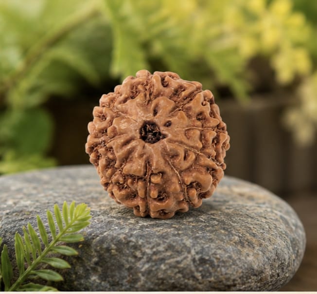 Original Indonesia 9 Mukhi Rudraksha | Natural Lab Tested Bead ओरिजिनल इंडोनेशिया 9 मुखी रुद्राक्ष | प्राकृतिक एवं लैब टेस्टेड