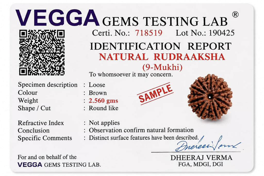 Original Indonesia 9 Mukhi Rudraksha | Natural Lab Tested Bead ओरिजिनल इंडोनेशिया 9 मुखी रुद्राक्ष | प्राकृतिक एवं लैब टेस्टेड
