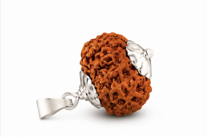 11 Mukhi Indonesia Rudraksha Pendant | Original Lord Hanuman Rudraksha 11 मुखी इंडोनेशिया रुद्राक्ष पेंडेंट | ओरिजिनल भगवान हनुमान रुद्राक्ष