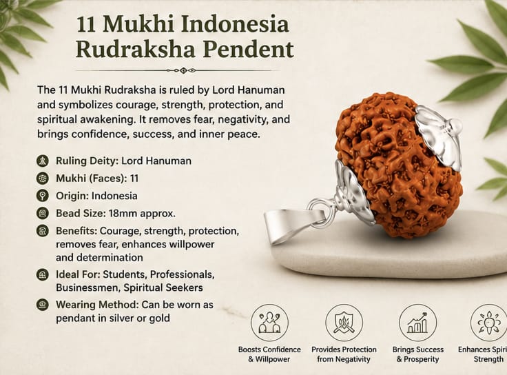 11 Mukhi Indonesia Rudraksha Pendant | Original Lord Hanuman Rudraksha 11 मुखी इंडोनेशिया रुद्राक्ष पेंडेंट | ओरिजिनल भगवान हनुमान रुद्राक्ष