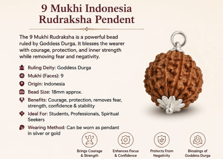 9 Mukhi Indonesia Rudraksha Pendant | Original Navdurga Rudraksha 9 मुखी इंडोनेशिया रुद्राक्ष पेंडेंट | ओरिजिनल नवदुर्गा रुद्राक्ष